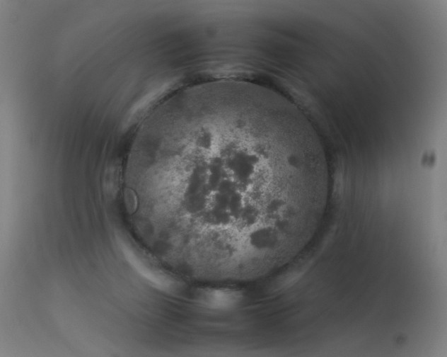 X0000113370165200909221231