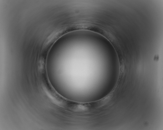 X0000113370166200909221231