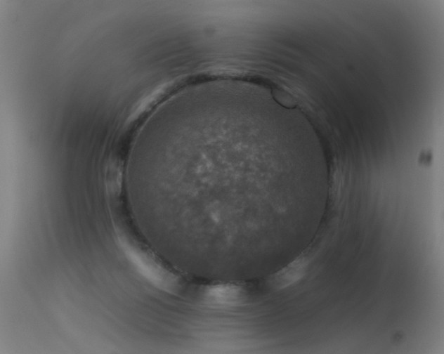 X0000113370168200909221231