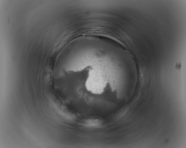 X0000113370169200909221231