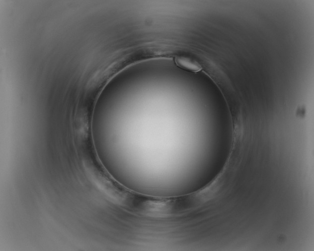X0000113370170200909221231