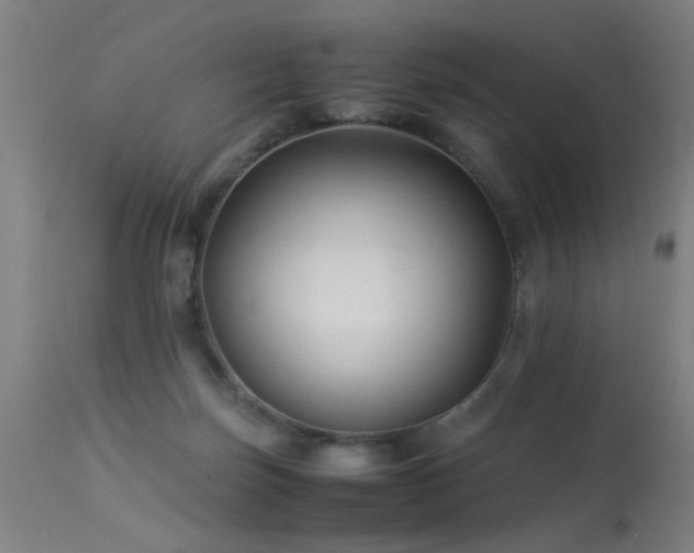 X0000113370171200909221231