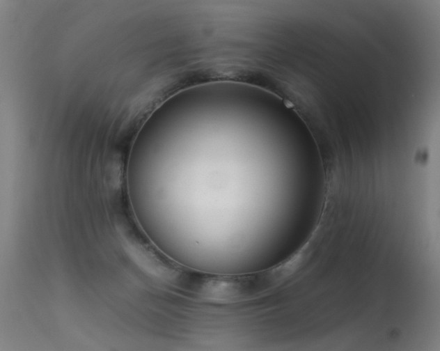 X0000113370174200909221231