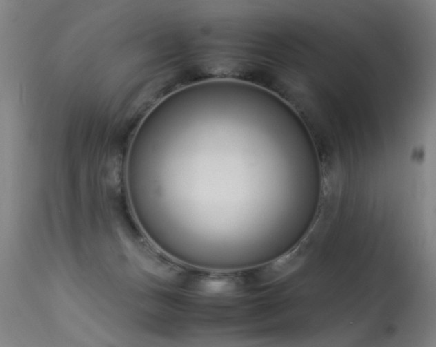 X0000113370175200909221231
