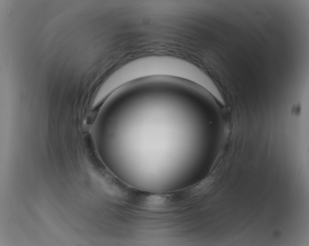 X0000113370176200909221231