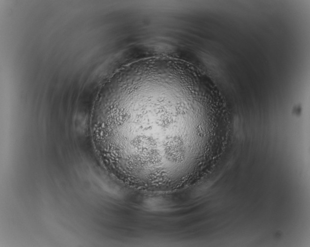 X0000113370177200909221231