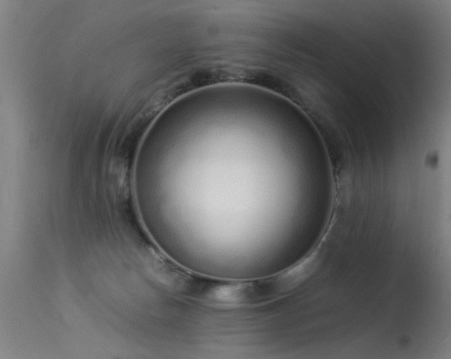 X0000113370178200909221231