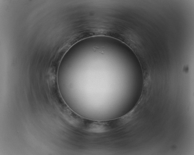 X0000113370179200909221231