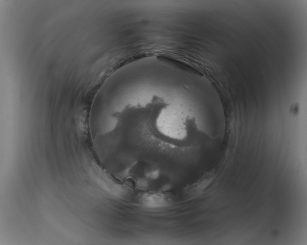 X0000113370181200909221231