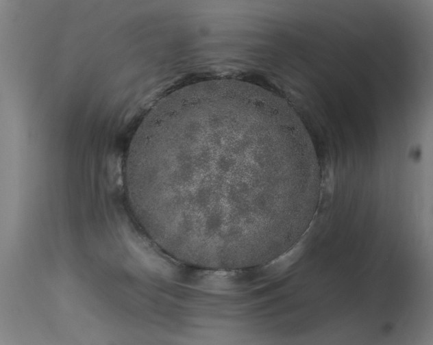 X0000113370182200909221231