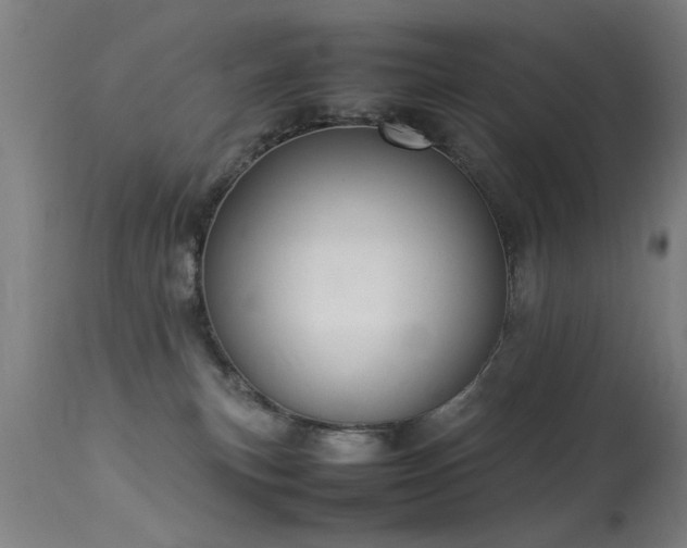 X0000113370183200909221231