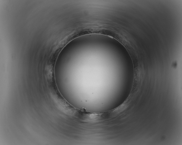 X0000113370184200909221231