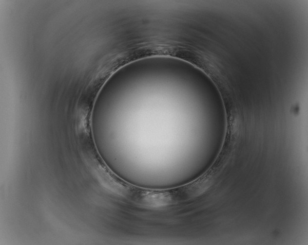 X0000113370185200909221231