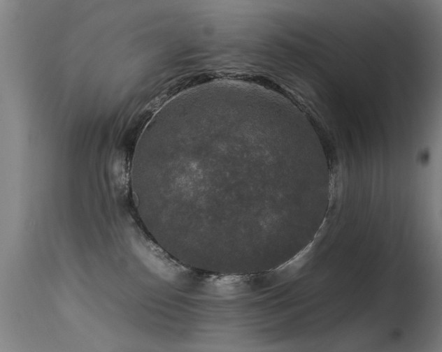 X0000113370186200909221231