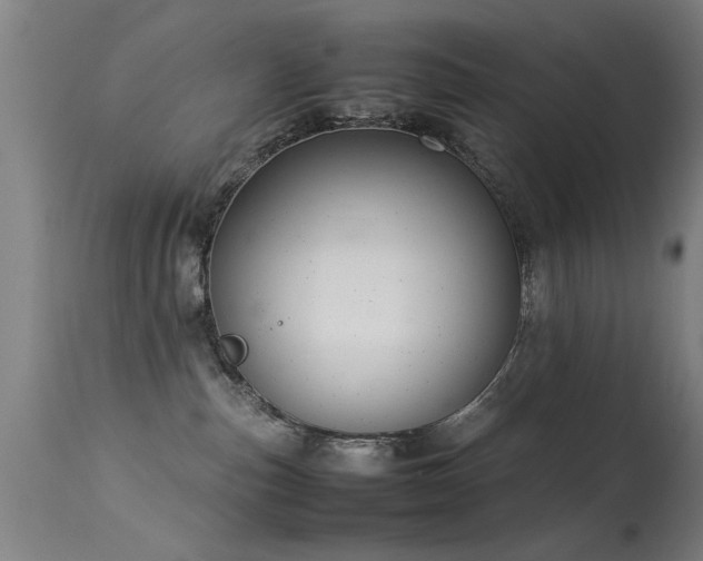 X0000113370187200909221231