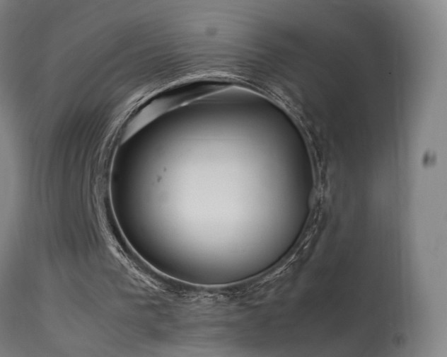 X0000113370193200909221231