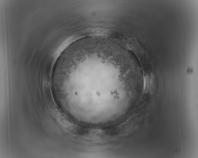X0000113370195200909221231