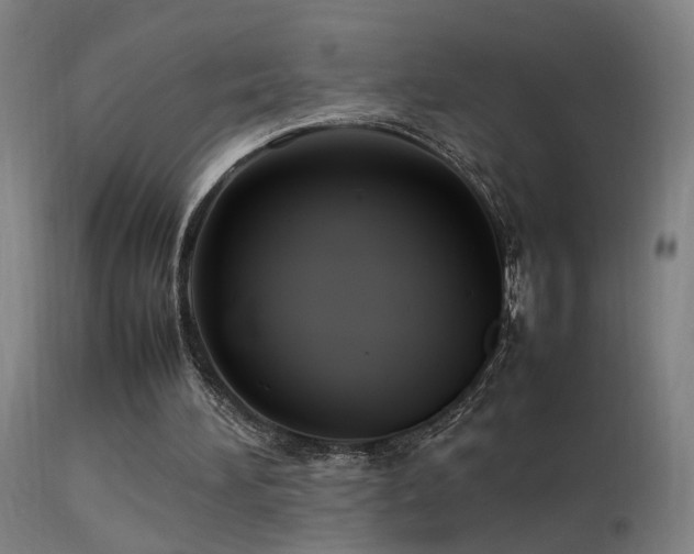 X0000113370196200909221231