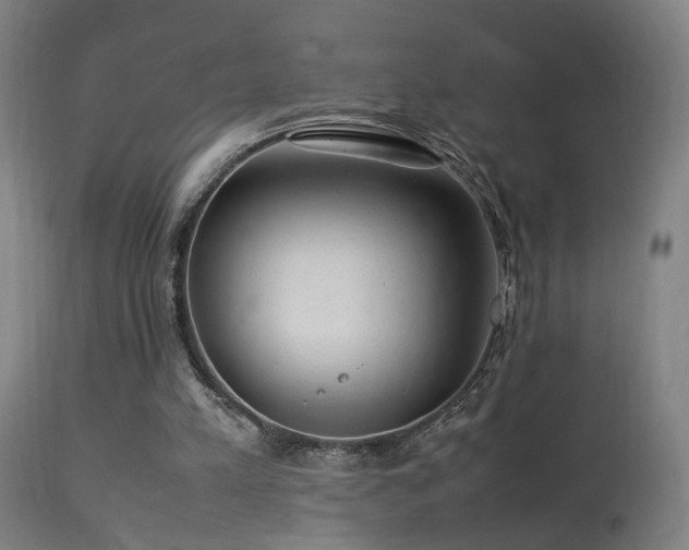 X0000113370197200909221231