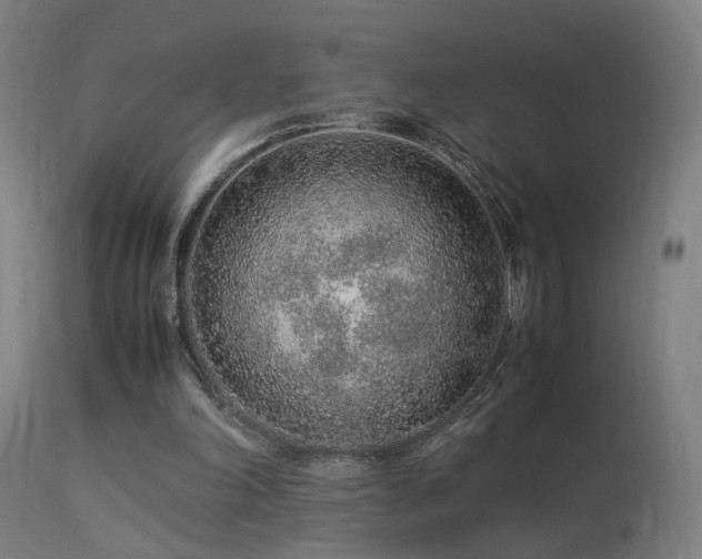X0000113370198200909221231