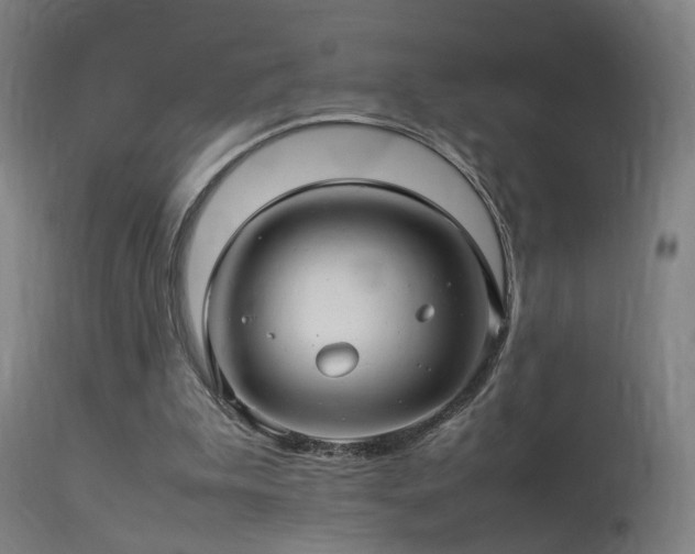 X0000113370199200909221231