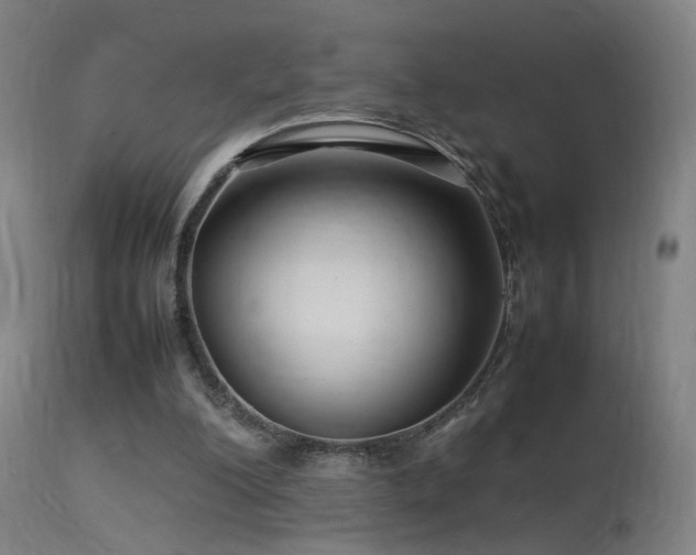 X0000113370200200909221231