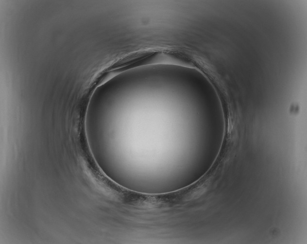 X0000113370201200909221231