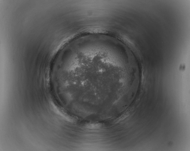 X0000113370202200909221231