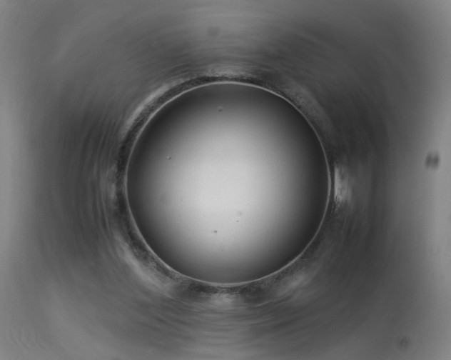 X0000113370204200909221231