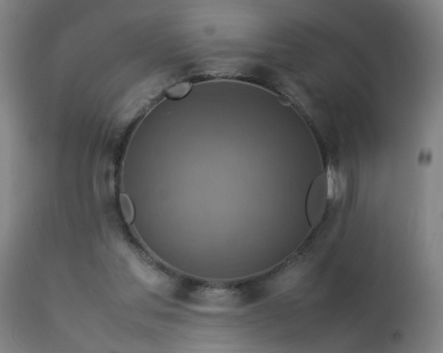 X0000113370205200909221231