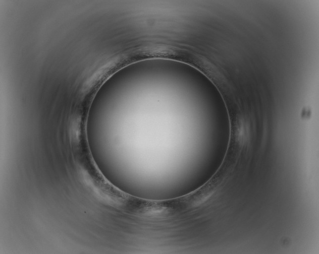 X0000113370206200909221231