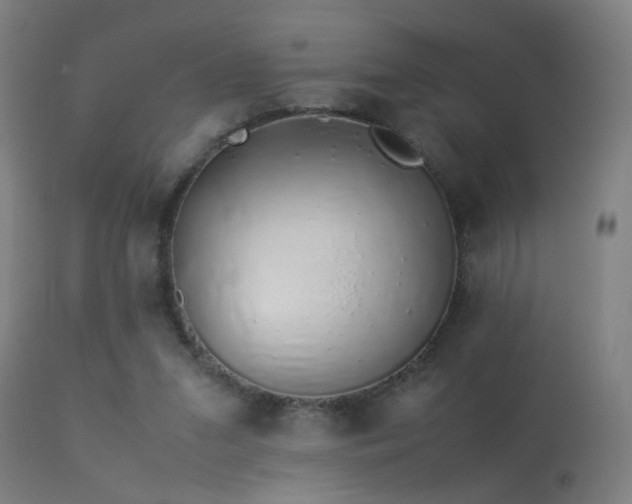 X0000113370207200909221231