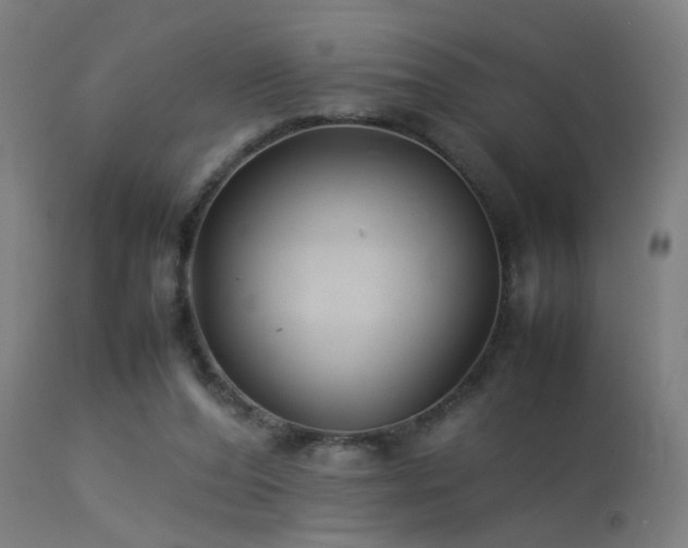 X0000113370208200909221231