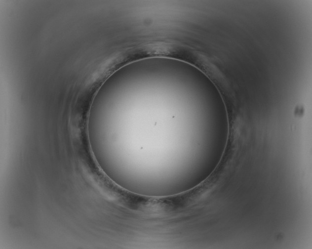 X0000113370209200909221230