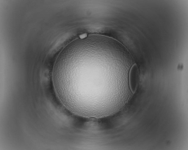 X0000113370211200909221230