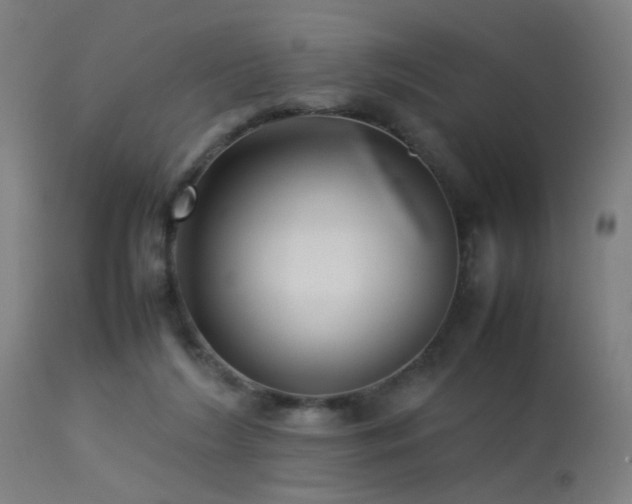 X0000113370212200909221230