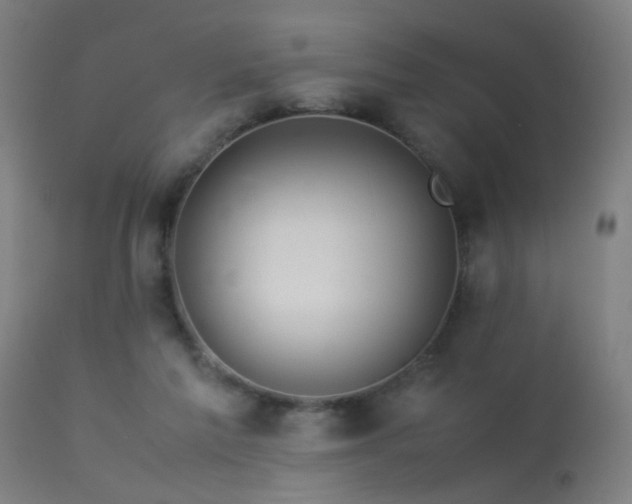 X0000113370213200909221230