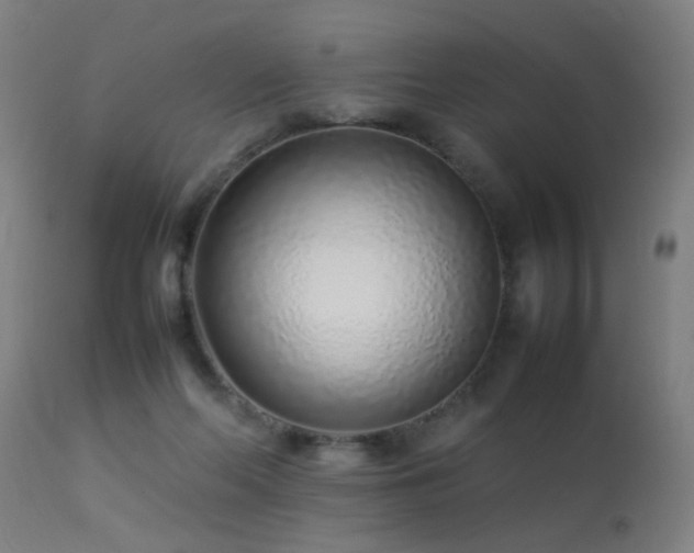 X0000113370214200909221230
