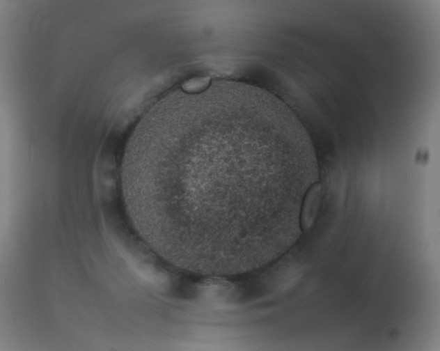 X0000113370215200909221230