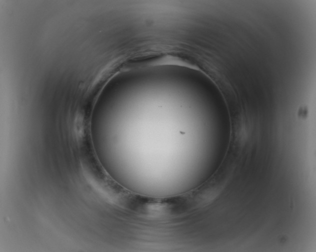 X0000113370216200909221230