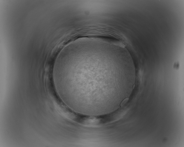 X0000113370217200909221230