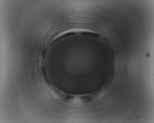 X0000113370219200909221230