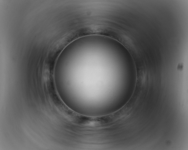 X0000113370220200909221230