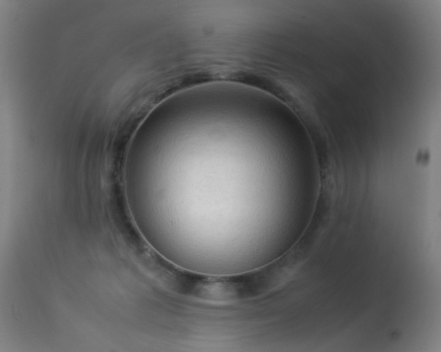 X0000113370221200909221230