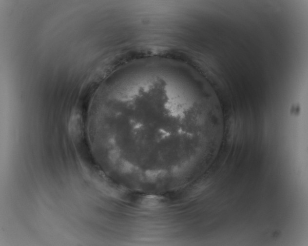 X0000113370222200909221230