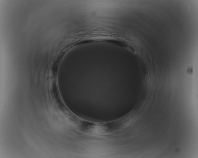 X0000113370223200909221230