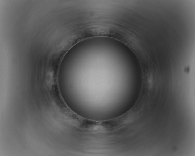 X0000113370224200909221230