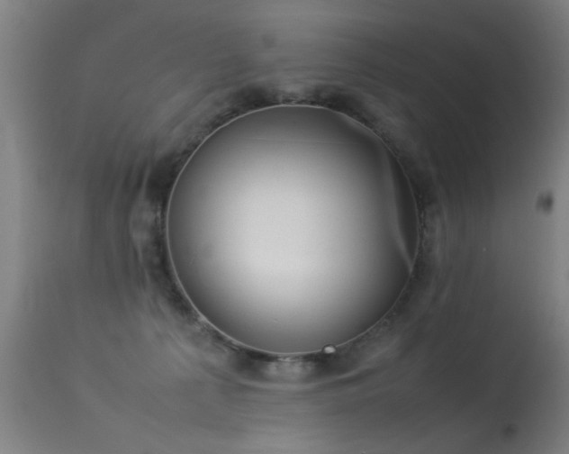 X0000113370225200909221230