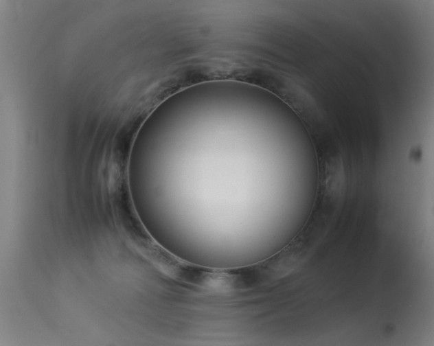 X0000113370226200909221230