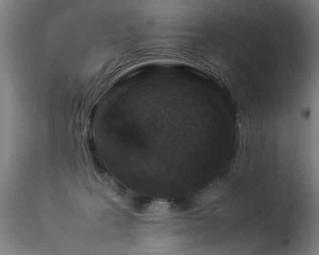 X0000113370227200909221230